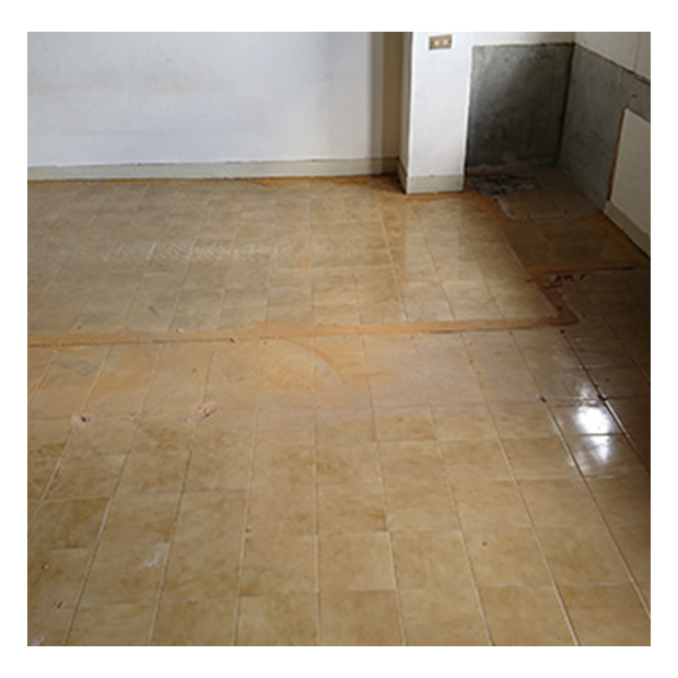通河街趙小姐-拆除工程-完工實景，為確保後續施工和入住環境的健康與安全，我們在拆除清潔完成後進行了全面的空間消毒與防蟲處理